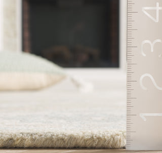 Safavieh Ebony EBN136G Light Grey / Ivory Area Rug Detail