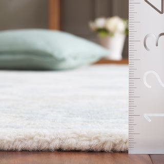 Safavieh Ebony EBN136M Ivory / Blue Area Rug Detail