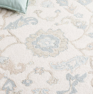 Safavieh Ebony EBN136M Ivory / Blue Area Rug Detail