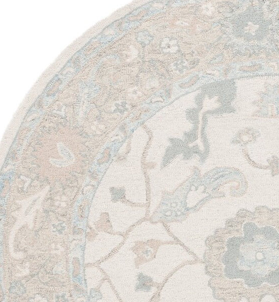 Safavieh Ebony EBN136M Ivory / Blue Area Rug main image