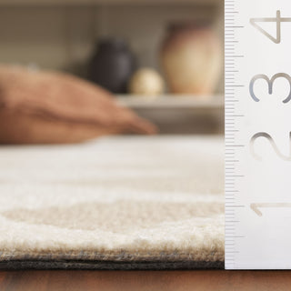 Safavieh Ebony EBN137B Beige / Ivory Area Rug Detail