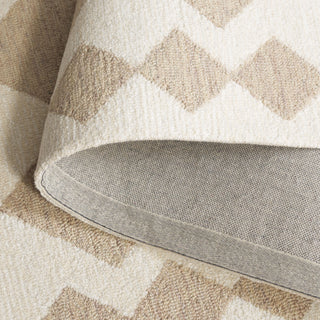 Safavieh Ebony EBN137B Beige / Ivory Area Rug Fold