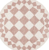 Safavieh Ebony EBN137P Pink / Ivory Area Rug main image