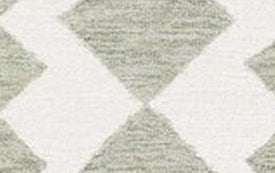 Safavieh Ebony EBN137Y Green / Ivory Area Rug Runner