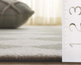 Safavieh Ebony EBN137Y Green / Ivory Area Rug Detail