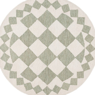 Safavieh Ebony EBN137Y Green / Ivory Area Rug main image