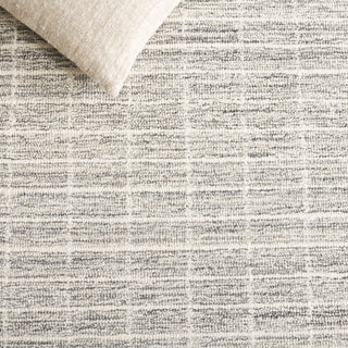 Safavieh Ebony EBN139G Grey / Ivory Area Rug Detail