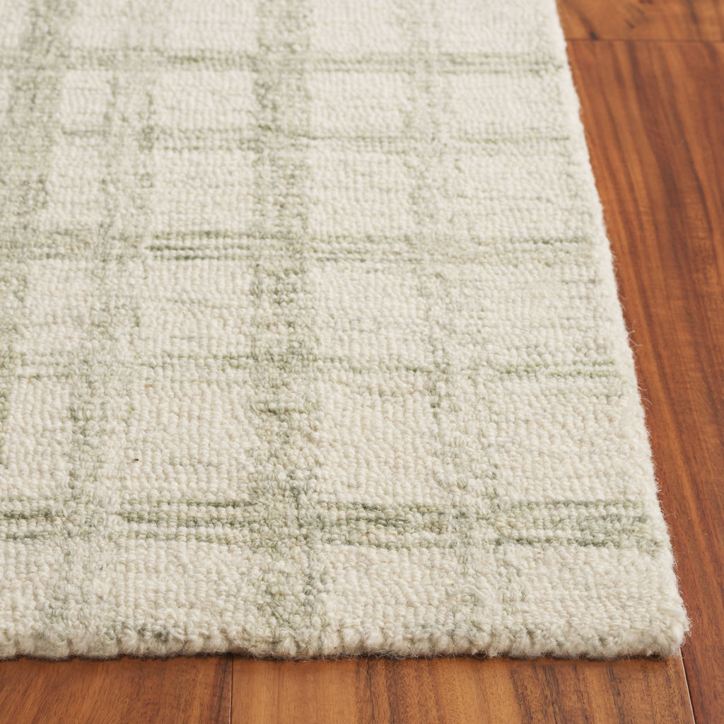 Safavieh Ebony EBN141W Sage / Ivory Area Rug main image