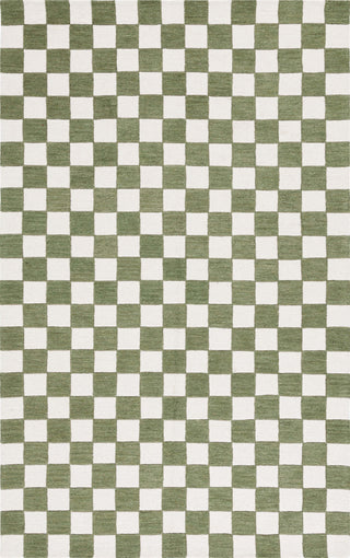 Safavieh Ebony EBN175Y Green / Ivory Area Rug main image