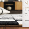 Safavieh Ebony EBN175Z Black / Ivory Area Rug Detail
