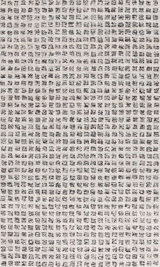 Safavieh Ebony EBN203B Beige / Black Area Rug main image