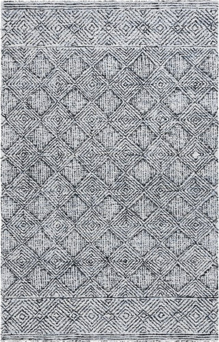 Safavieh Ebony EBN204 Silver / Black Area Rug