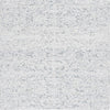 Safavieh Ebony EBN209 Light Blue / Ivory Area Rug