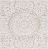 Safavieh Ebony EBN211 Ivory / Brown Area Rug Square
