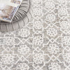 Safavieh Ebony EBN212 Ivory / Grey Area Rug