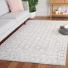 Safavieh Ebony EBN212 Ivory / Grey Area Rug