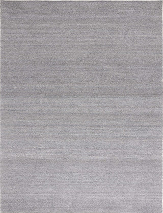 Safavieh Ebony EBN214F Grey Area Rug Main