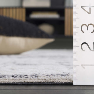 Safavieh Ebony EBN216A Ivory / Grey Area Rug Detail
