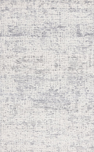 Safavieh Ebony EBN216A Ivory / Grey Area Rug Main