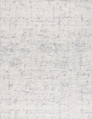 Safavieh Ebony EBN216A Ivory / Grey Area Rug main image