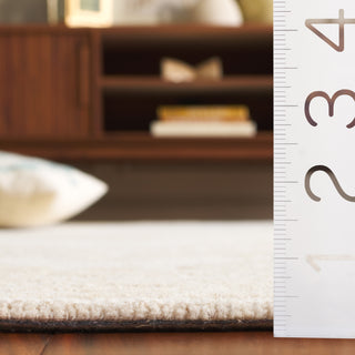 Safavieh Ebony EBN218A Ivory / Light Green Area Rug Detail