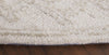 Safavieh Ebony EBN219A Ivory / Beige Area Rug Detail