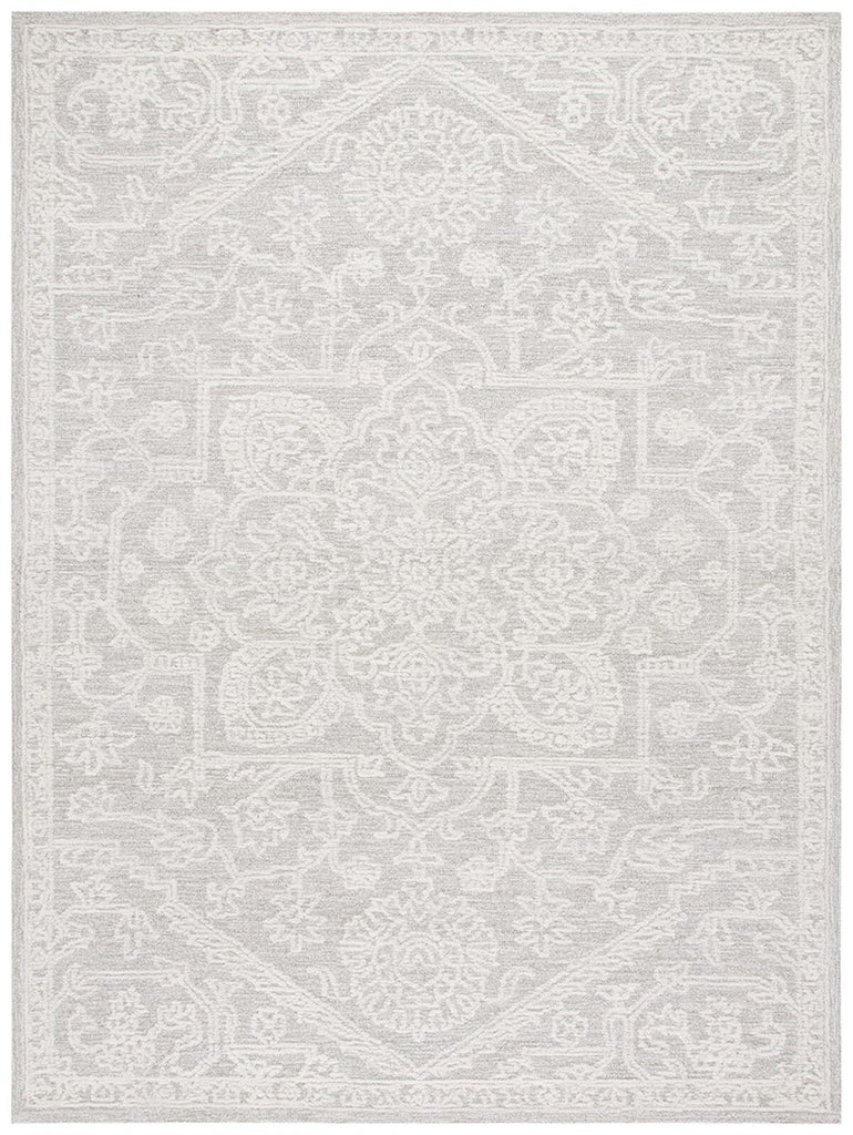 Safavieh Ebony EBN220A Ivory / Grey Area Rug main image