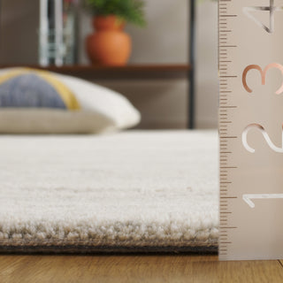 Safavieh Ebony EBN221G Light Grey / Beige Area Rug Detail