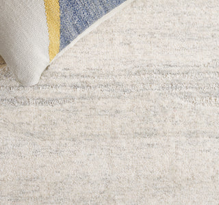 Safavieh Ebony EBN221G Light Grey / Beige Area Rug Detail