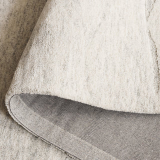 Safavieh Ebony EBN221G Light Grey / Beige Area Rug Fold