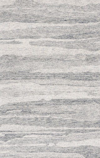 Safavieh Ebony EBN221H Dark Grey / Ivory Area Rug Main