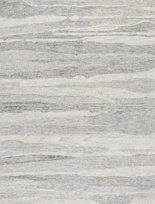 Safavieh Ebony EBN221H Dark Grey / Ivory Area Rug main image