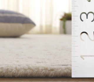 Safavieh Ebony EBN222F Ivory / Grey Area Rug Detail