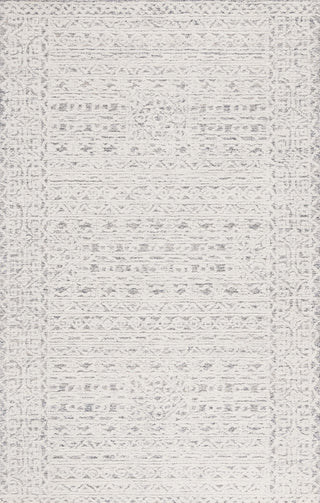 Safavieh Ebony EBN222F Ivory / Grey Area Rug Main