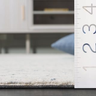 Safavieh Ebony EBN223M Ivory / Blue Area Rug Detail