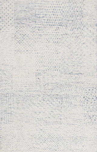 Safavieh Ebony EBN223M Ivory / Blue Area Rug Main