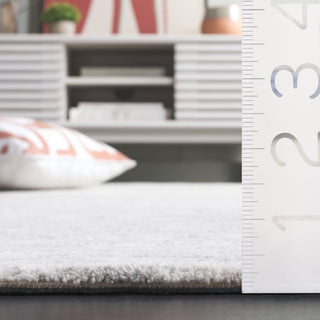 Safavieh Ebony EBN224G Ivory / Dark Grey Area Rug Detail