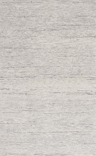 Safavieh Ebony EBN224G Ivory / Dark Grey Area Rug main image