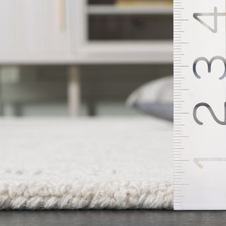 Safavieh Ebony EBN227F Ivory / Grey Area Rug Detail