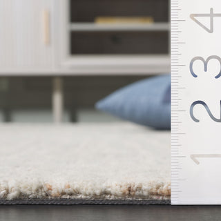 Safavieh Ebony EBN228P Rust / Grey Area Rug Detail