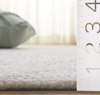 Safavieh Ebony EBN229G Taupe / Ivory Area Rug Detail