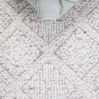 Safavieh Ebony EBN229G Taupe / Ivory Area Rug Detail