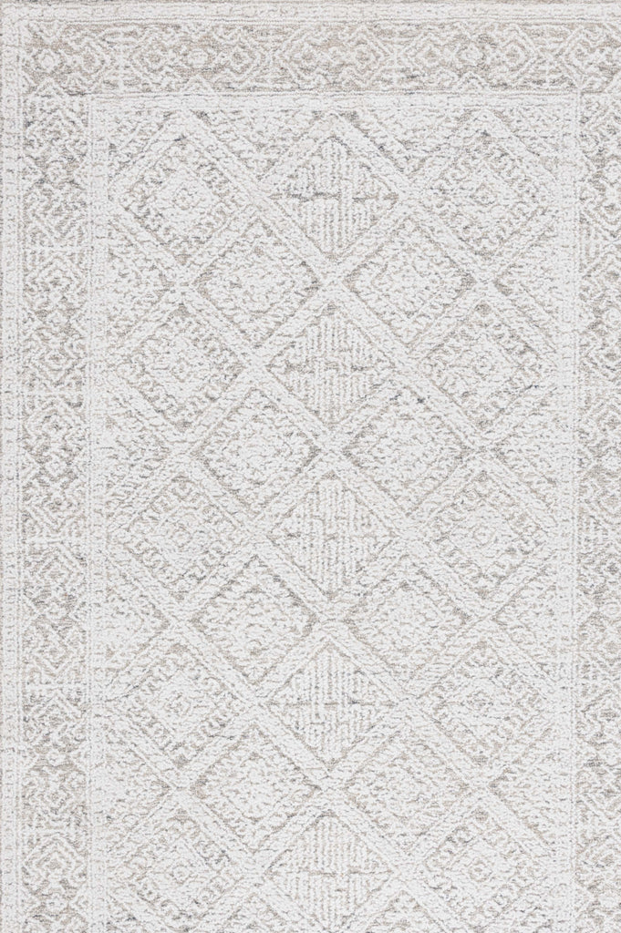 Safavieh Ebony EBN229G Taupe / Ivory Area Rug main image