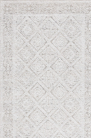 Safavieh Ebony EBN229G Taupe / Ivory Area Rug main image