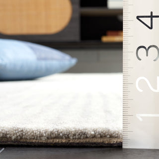 Safavieh Ebony EBN253G Beige / Grey Area Rug Detail