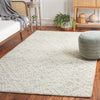 Safavieh Ebony EBN303 Ivory / Grey Area Rug Room Scene Feature