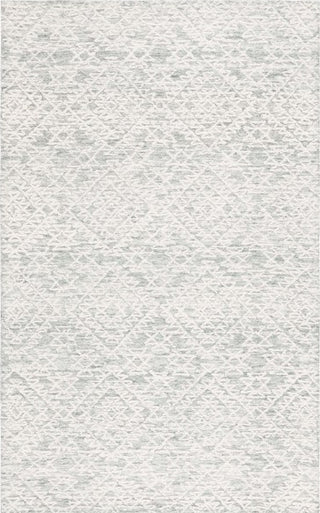 Safavieh Ebony EBN303 Ivory / Grey Area Rug