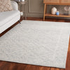 Safavieh Ebony EBN304 Ivory / Light Grey Area Rug