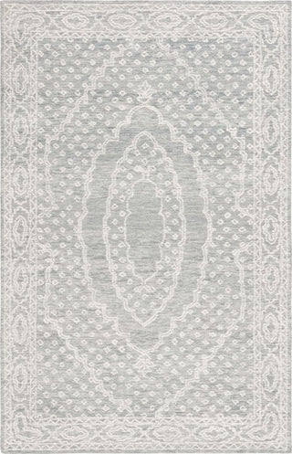 Safavieh Ebony EBN306 Ivory / Grey Area Rug