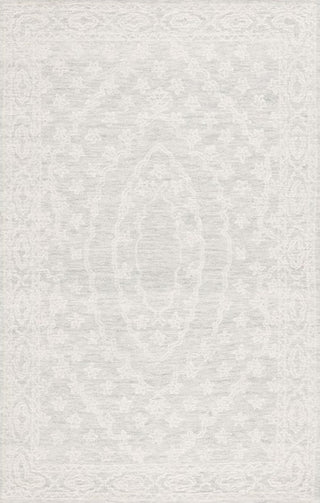 Safavieh Ebony EBN307 Ivory / Light Blue Area Rug